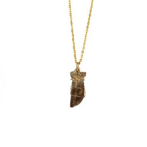 Gold necklace with brown wrapped fang pendant